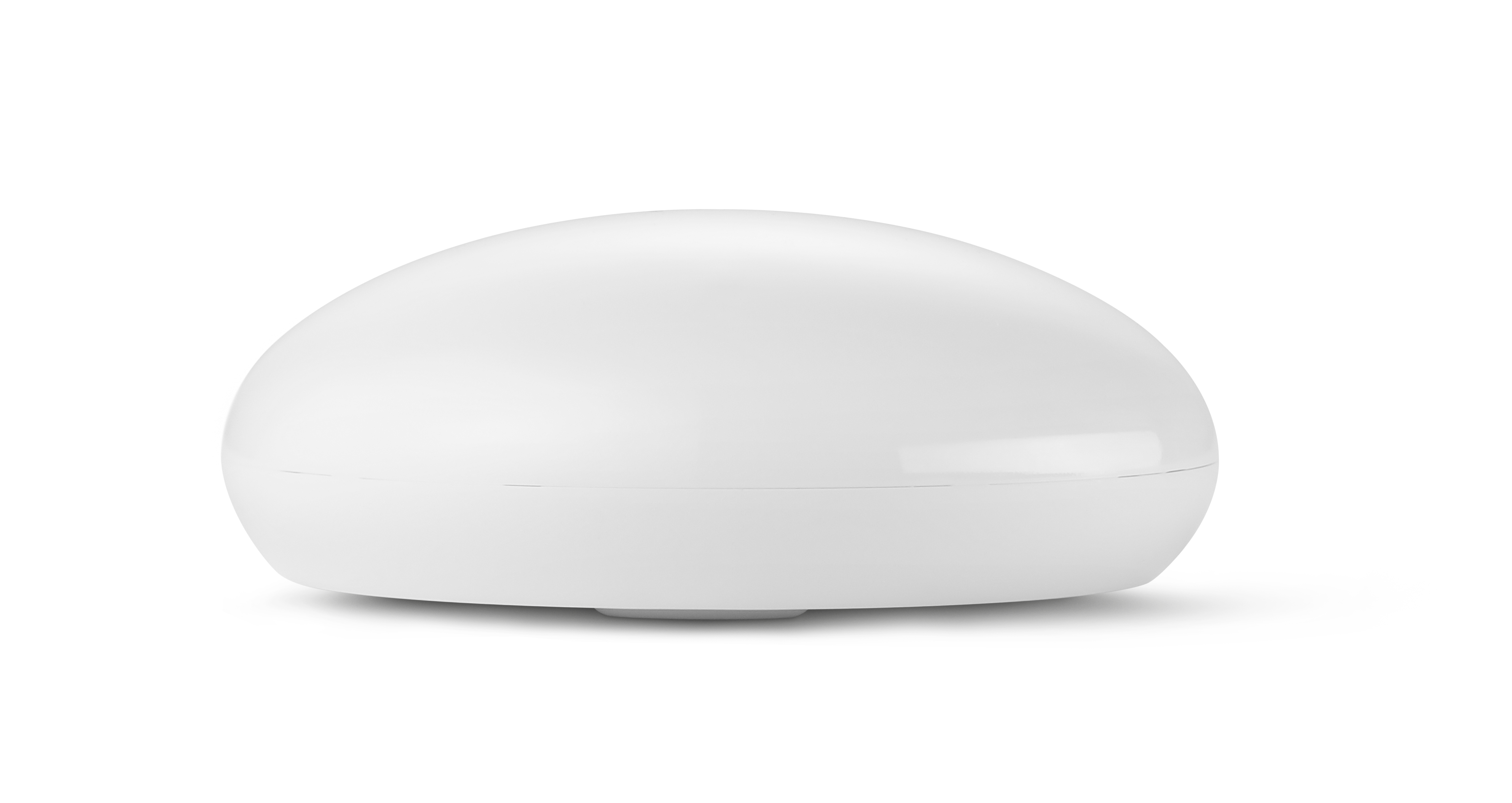 Nice Flood-Control Z-Wave Wassermelder mit Temperatursensor