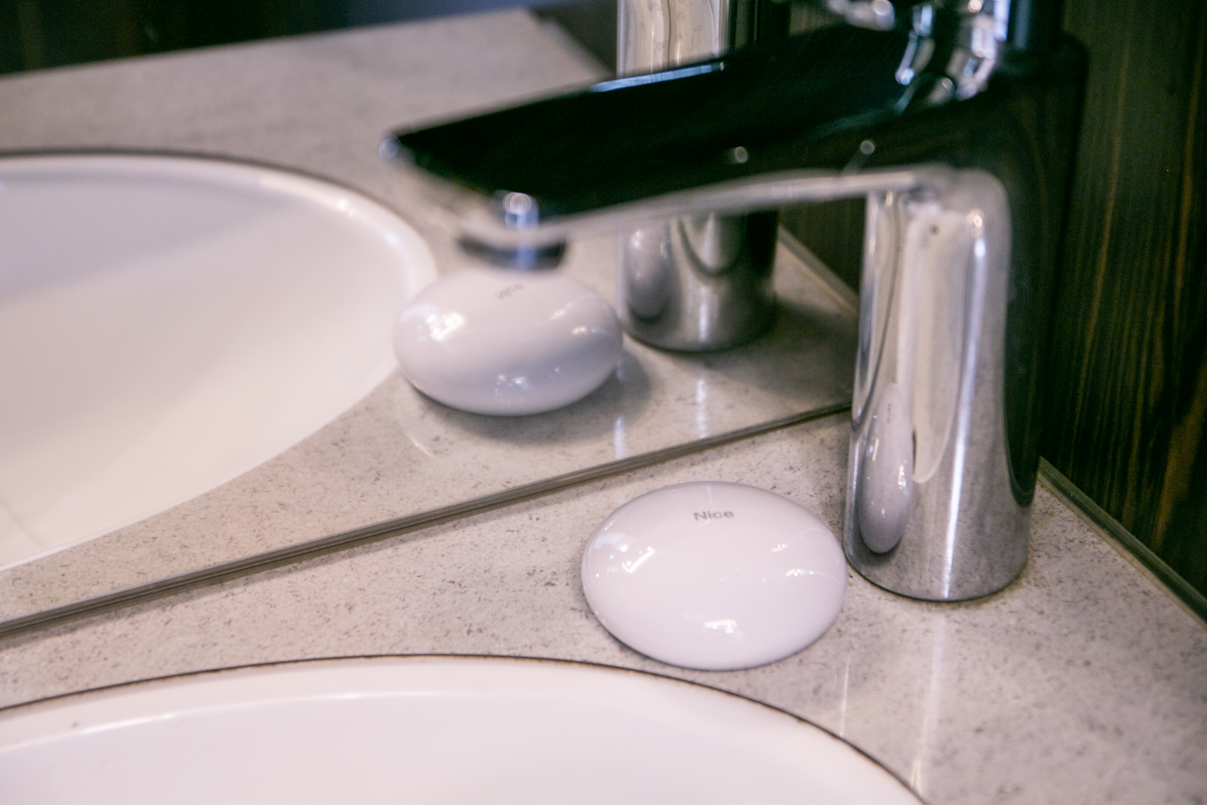 Nice Flood-Control Z-Wave Wassermelder mit Temperatursensor